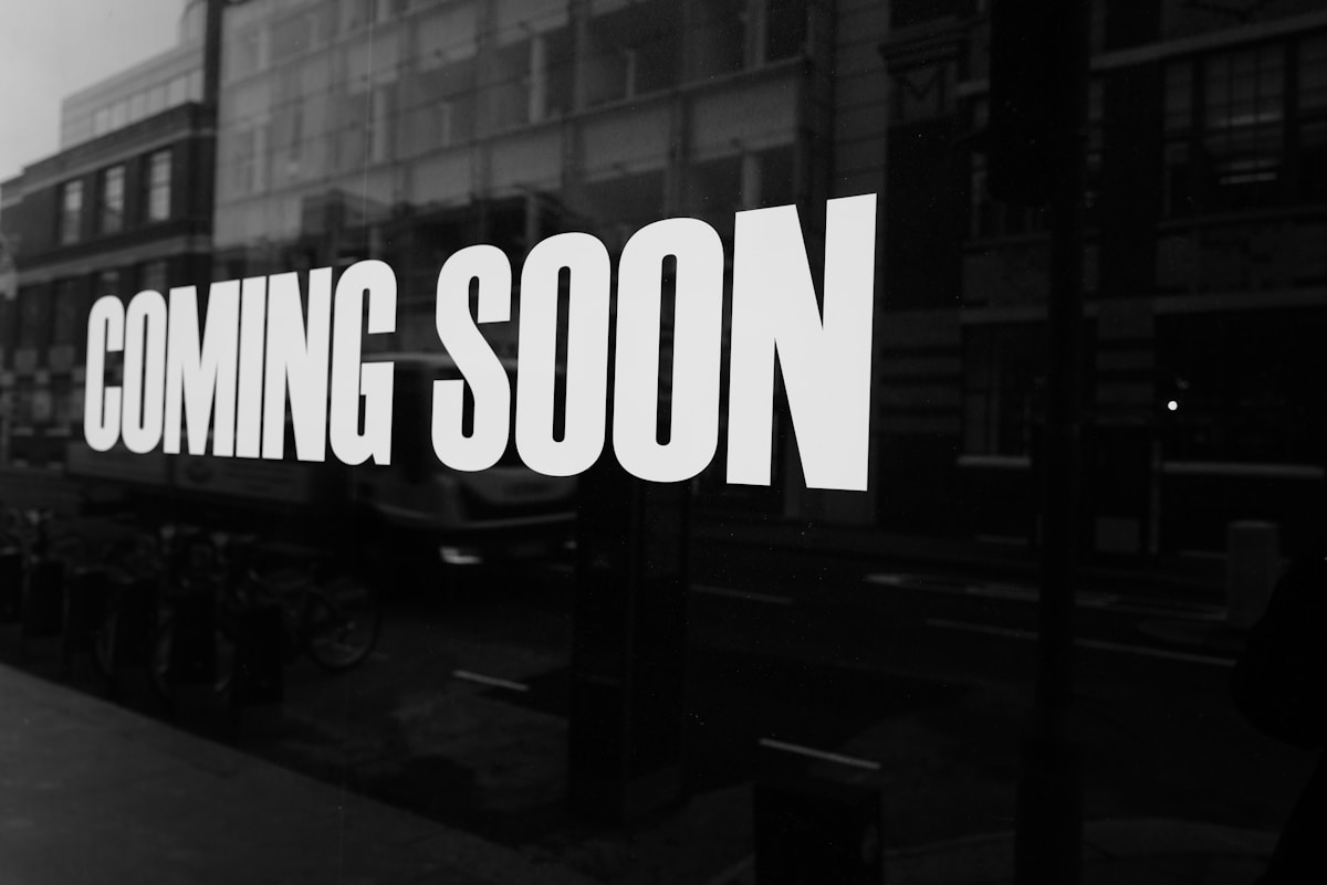 WordPress development and customization